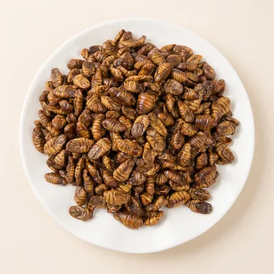 쪽빛누리 냉동 번데기, 1kg, 2개