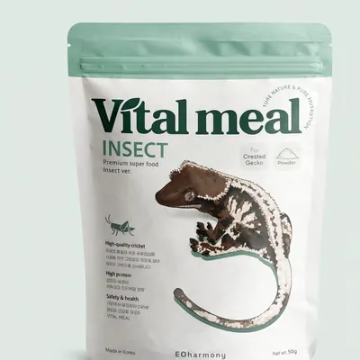 바이탈밀 곤충맛 슈퍼푸드, 파충류, 분말형, 50g, 컬러 주사기 증정, 1개