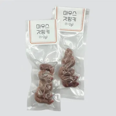 쥐선생 냉동마우스, 2g, 10개입, 1세트
