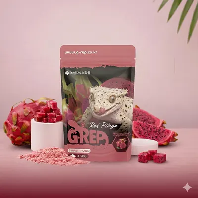 녹십자 지렙 크레스티드게코 사료, 무화과, 100g, 1개