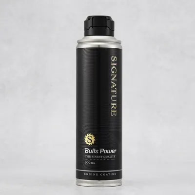 불스원 불스파워 시그니처 엔진코팅제, 300ml, 1개