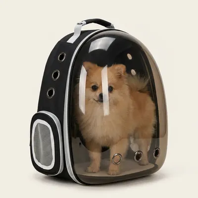 반려동물 투명 백팩 이동가방, 블랙, 1개