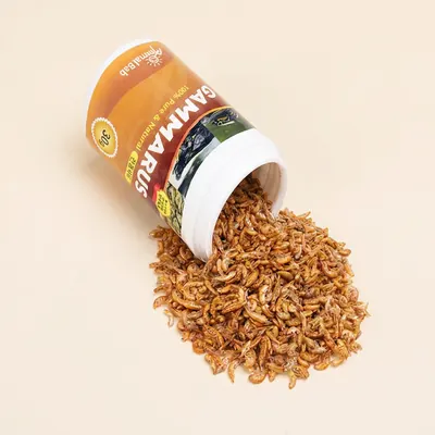 감마루스 건조새우, 30g, 1개