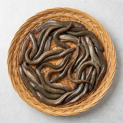 국내산 미꾸라지, 중, 추어탕용, 1kg, 1개