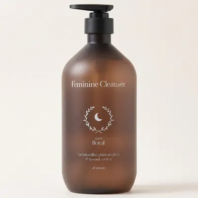 닥터문 락토케어 질경초 여성청결제, 1000ml, 2개