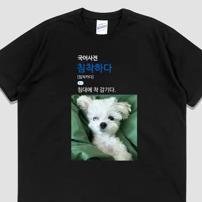 입는생각 침착하다 반팔 국어사전 티셔츠 웃긴 강아지티 우정잠옷 오버핏, 블랙, 3XL, 1개