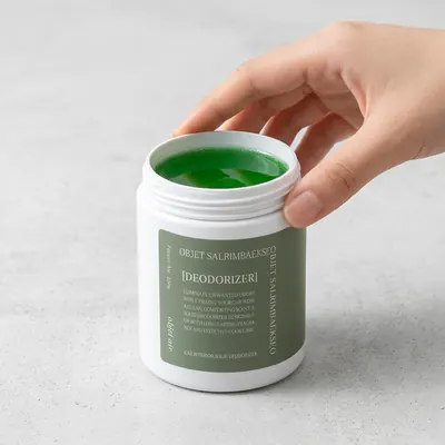 살림백서 오브제 에어 프레쉬 차량용 고체탈취제, 포레스트 에어, 250g, 1개