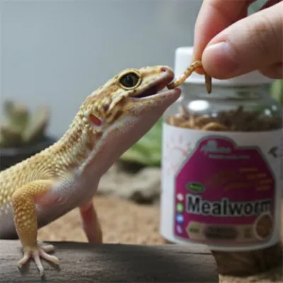 애니멀밥 프라임 밀웜, 15g, 1개