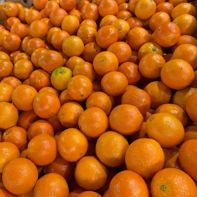 호주산 오렌지, 특과, 4kg, 19-21과, 1개