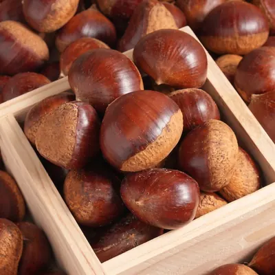 공주 햇 밤, 특품, 2kg, 1박스