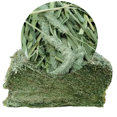 연맥 건초, 1kg, 1개