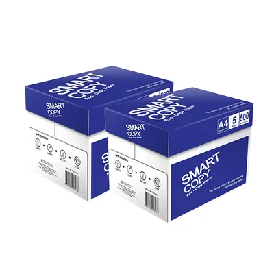 더블에이 스마트카피 A4 복사용지, 75g, 2500매, 2박스